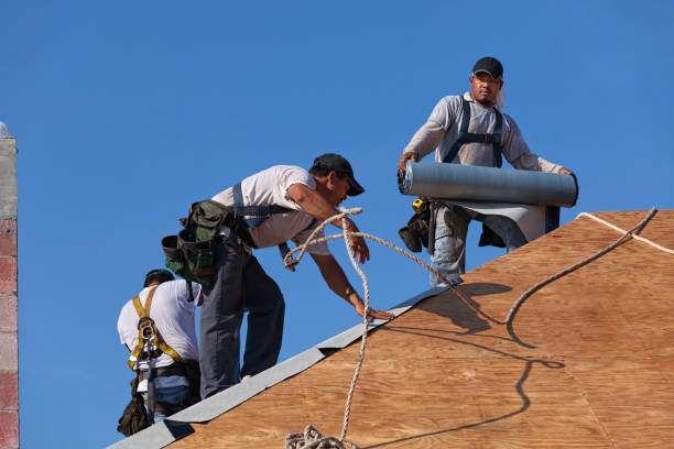 Best Roof Restoration Services  in Montesano, WA