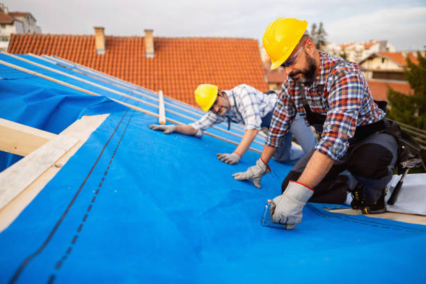 Best Affordable Roofing Company  in Montesano, WA
