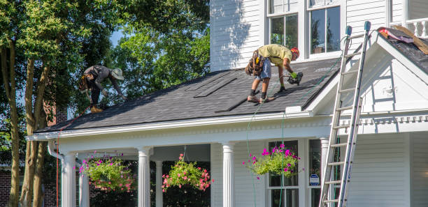 Best Roof Maintenance Services  in Montesano, WA